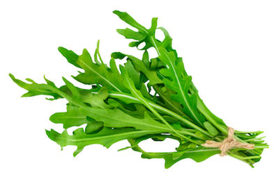 Coltivare rucola bio