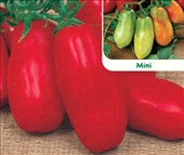 Pomodoro san Marzano