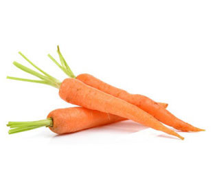 Coltivare Carota