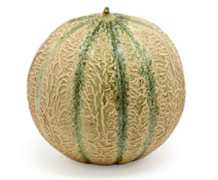 Coltivare Melone